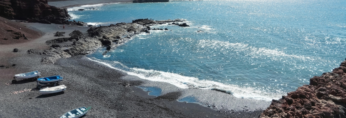 la descarbonización es clave en el futuro para Canarias