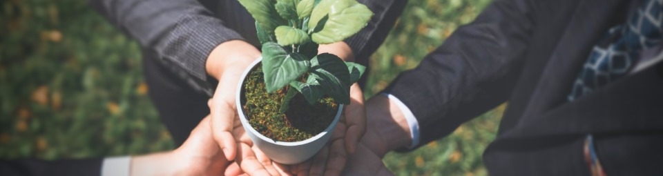 Testimonios que inspiran