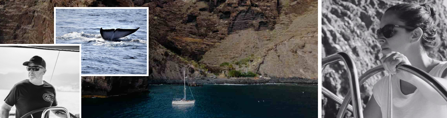 Picarus