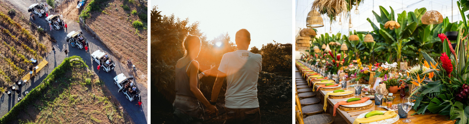 finca ecológica la calabacera guía ISORA Tenerife