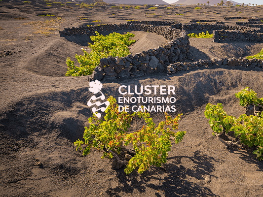 Cluster
