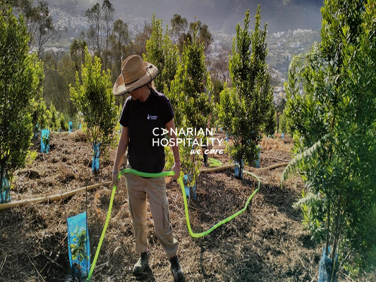 Canarian hospitality