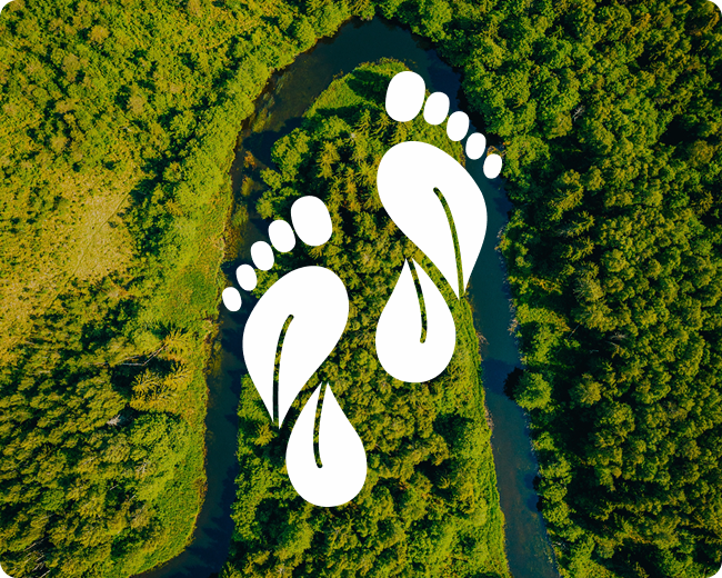 Curso cálculo huella de carbono