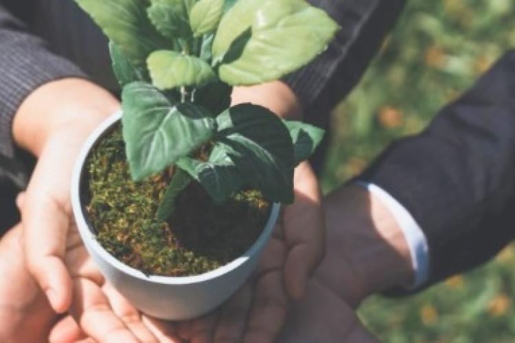 Testimonios que inspiran