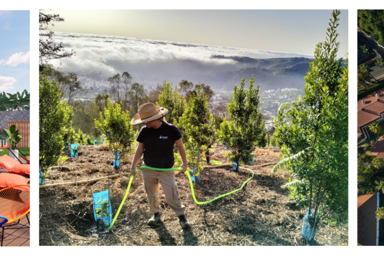 Canarian Hospitality: innovación hotelera y sostenibilidad en Canarias